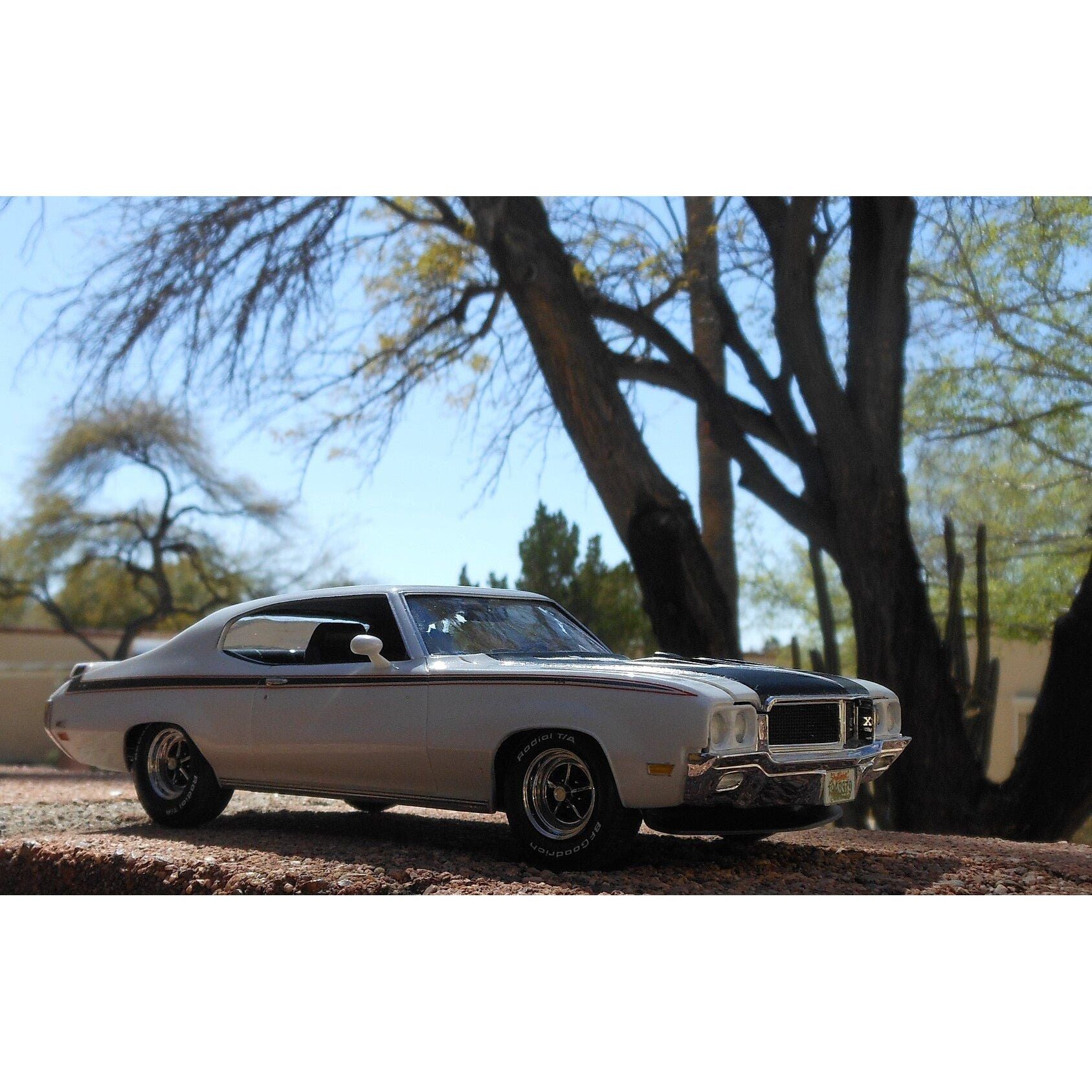 Revell '70 Buick GSX